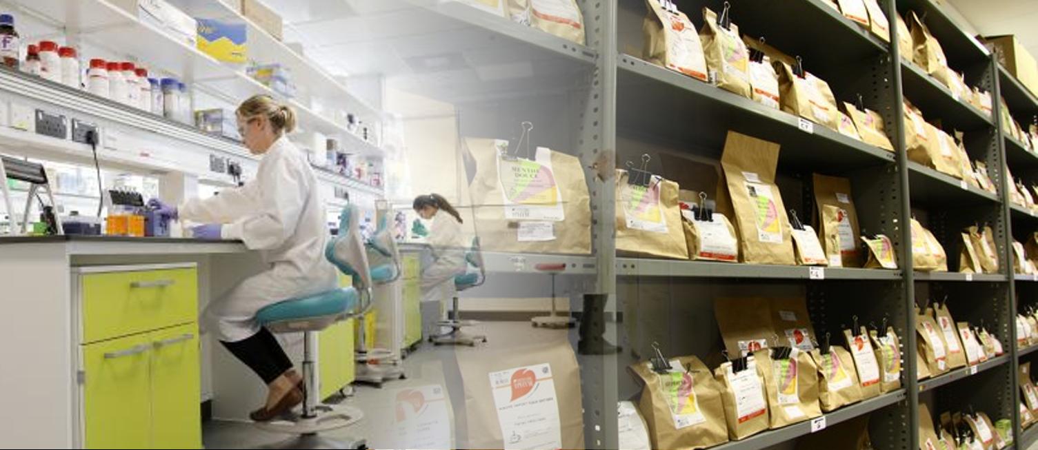 Global Discount Drugs Reviews. Below Is A Summary Of Them All